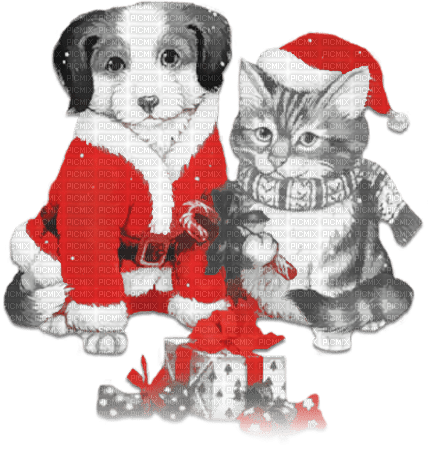 soave dog animals christmas cat friends gift box - zadarmo png