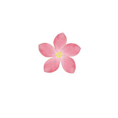Pink flower - zdarma png