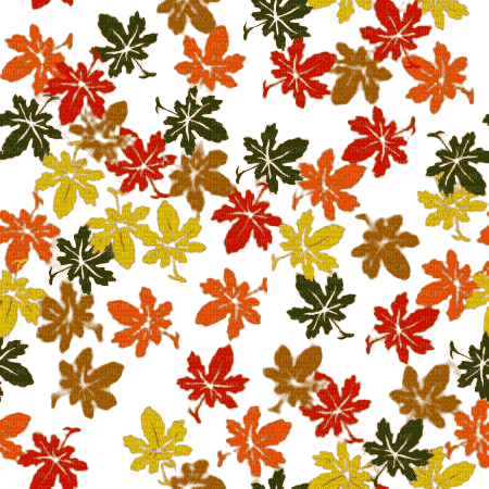 Autumn Leaves background - darmowe png