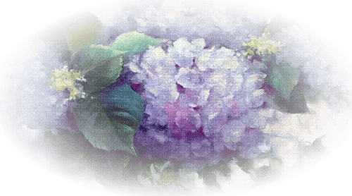 fleur violette.Cheyenne63 - besplatni png