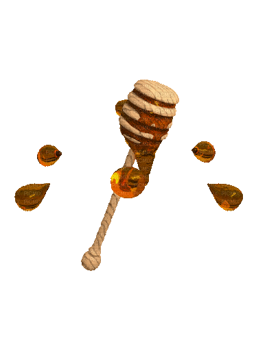 Honey - Bezmaksas animēts GIF