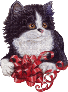 LOVE OF CATS -ESME4EVA2023 - GIF animado gratis