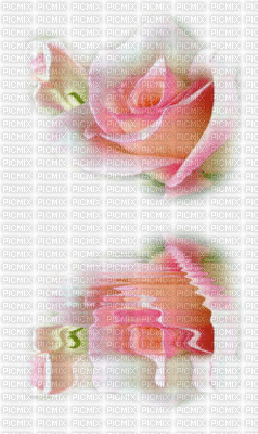 fleur eau - Gratis animeret GIF