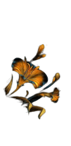 fleur marron.Cheyenne63 - nemokama png