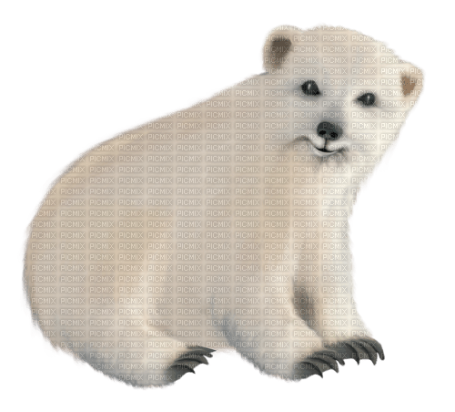 dolceluna polar bear white deco - gratis png