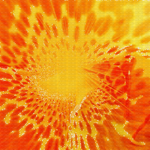 orange milla1959 - Free animated GIF
