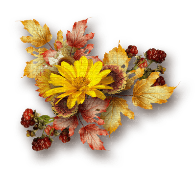 patymirabelle automne fleurs - png ฟรี