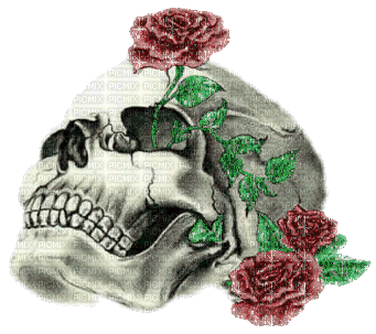skull with roses - GIF animate gratis