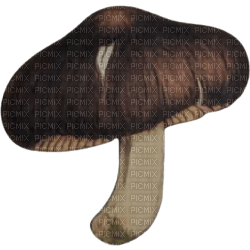 Mushroom - 無料png