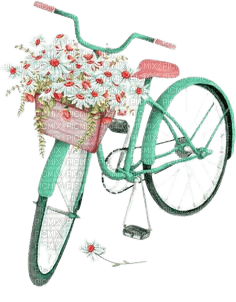 vélo fleuri - bezmaksas png