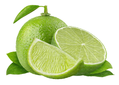 Kaz_Creations Fruit Lime - PNG gratuit