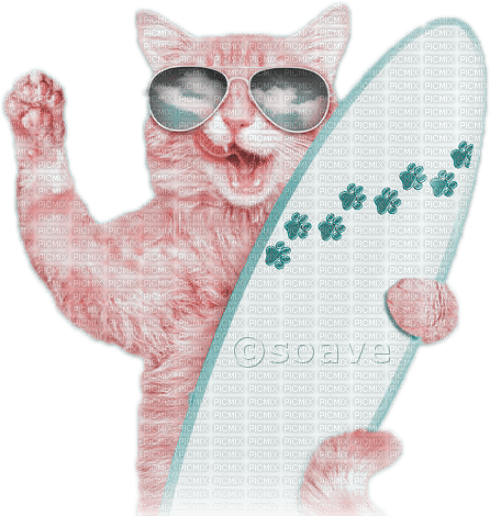 soave cat deco animals summer fish funny pink teal - kostenlos png