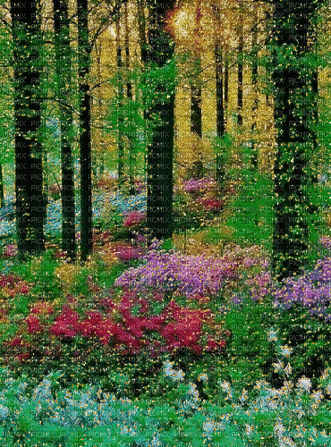 Background foret et  fleurs .Miriella - GIF animasi gratis