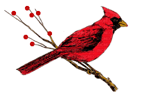 red bird gif dubravka4 - GIF animasi gratis
