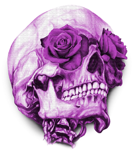 Y.A.M._Gothic skull purple - PNG gratuit