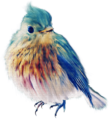 minou-blue-bird - png gratis