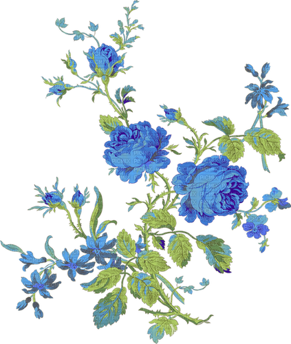 blue flowers deco 2 - ücretsiz png