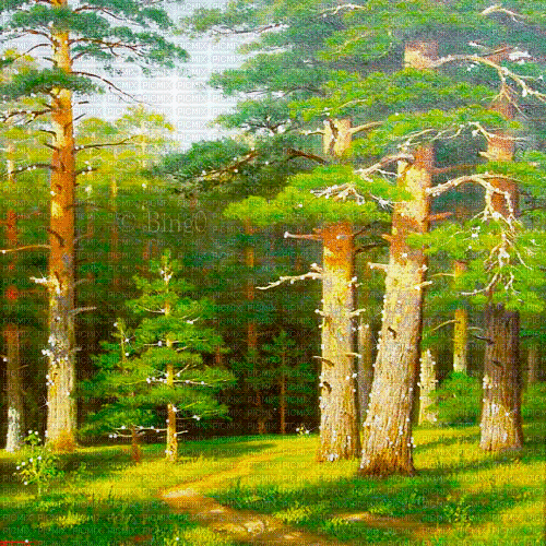 Y.A.M._Landscape forest background - Ingyenes animált GIF