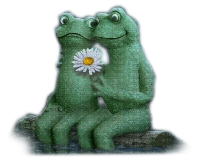 frog couple - png gratis