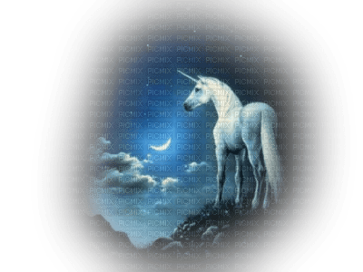 unicorn night fantasy licorne nuit - 無料png