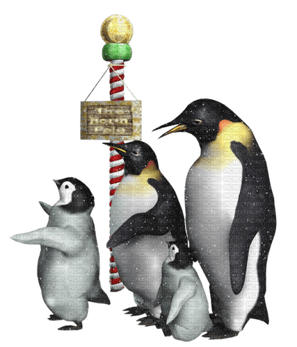 Pingouins. - бесплатно png