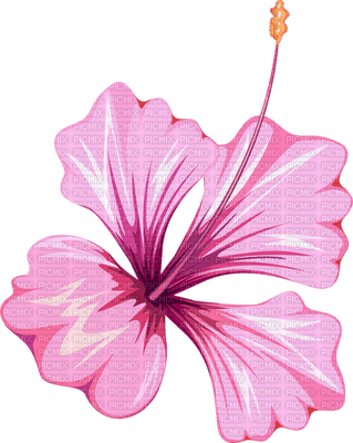 More Flowers-2 - Free PNG