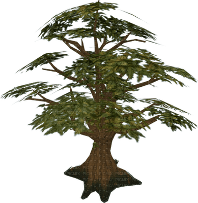 trees bp - zadarmo png