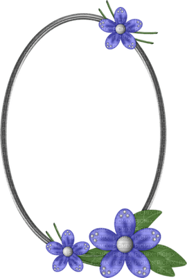 Kaz_Creations Deco Oval Flowers Frames Frame   Colours - PNG gratuit