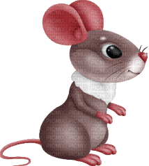myška - darmowe png