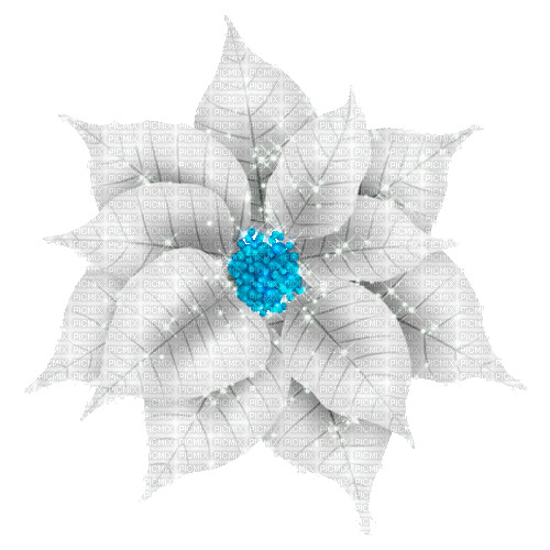 winter flower by nataliplus - Бесплатный анимированный гифка