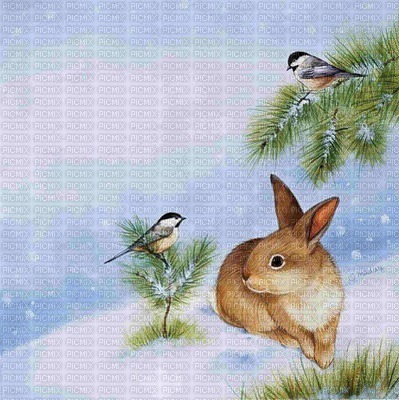 Rabbit and Birds in Snow - png ฟรี