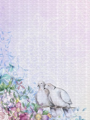 bg-flower-dove-minou52 - 無料png