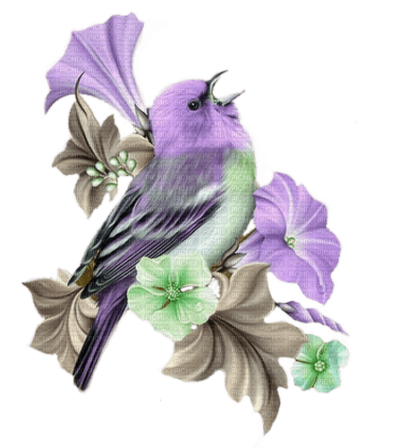 bird, fleur, Pelageya - png gratis