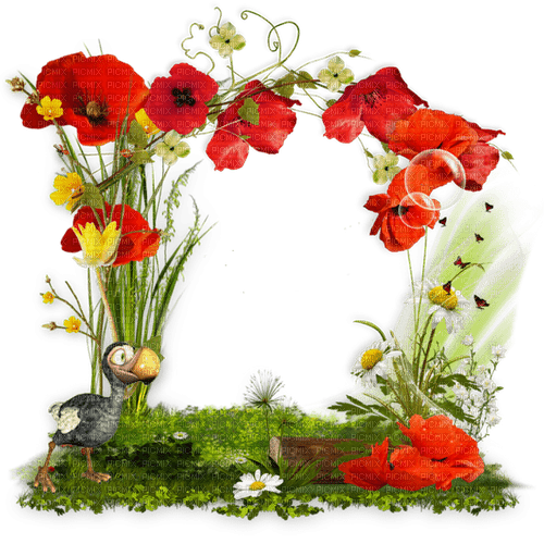 loly33 coquelicots - png gratis