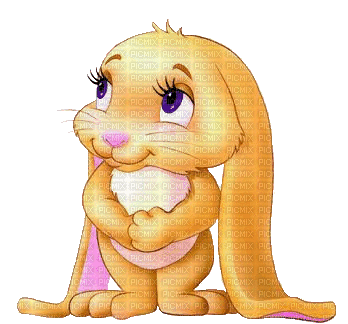bunny with long ears - Zdarma animovaný GIF