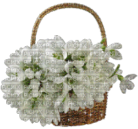 panier de fleurs blanches - GIF animé gratuit