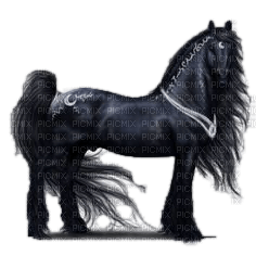 tribal stallion - png gratis