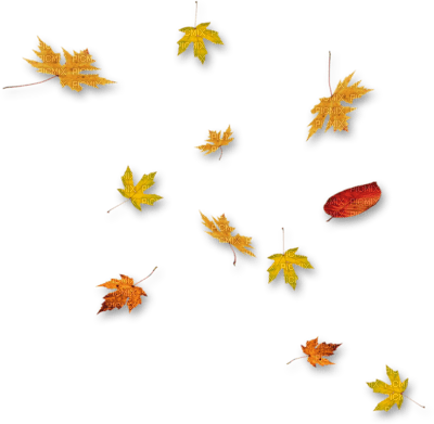 autumn - kostenlos png