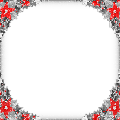 soave frame corner circle christmas flowers winter - 免费PNG
