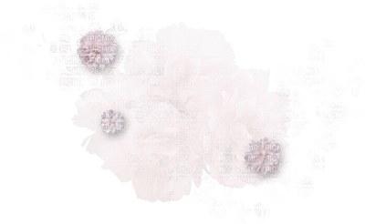 flowers anastasia - безплатен png