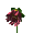 fleur marguerite /HD - GIF animado grátis