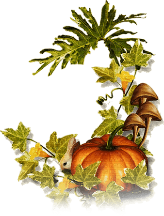 soave deco autumn tanksgiving  pumpkin mushrooms - darmowe png