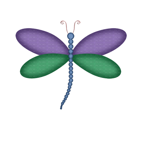 kikkapink deco scrap dragonfly - PNG gratuit