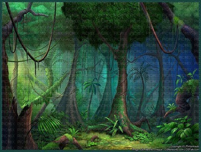 forest - zdarma png