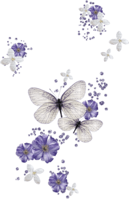 papillon - darmowe png