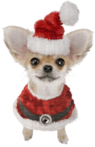 christmas dog by nataliplus - besplatni png