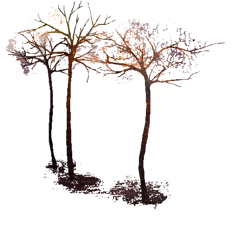 tree - Ücretsiz animasyonlu GIF