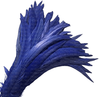 blue feathers - nemokama png