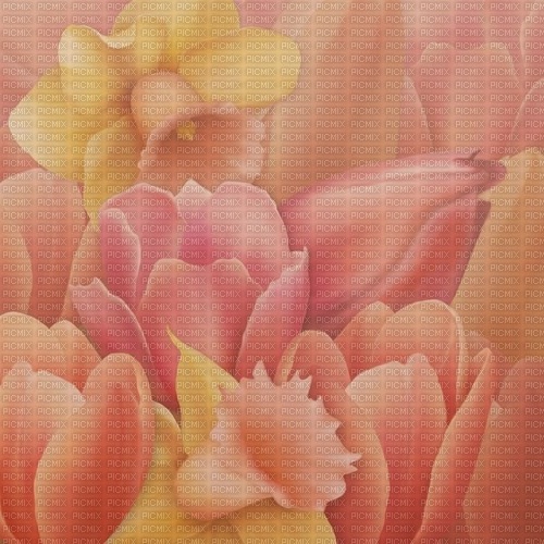 flowers  background by nataliplus - gratis png