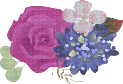 Kaz Creations Flowers Flower - Free PNG